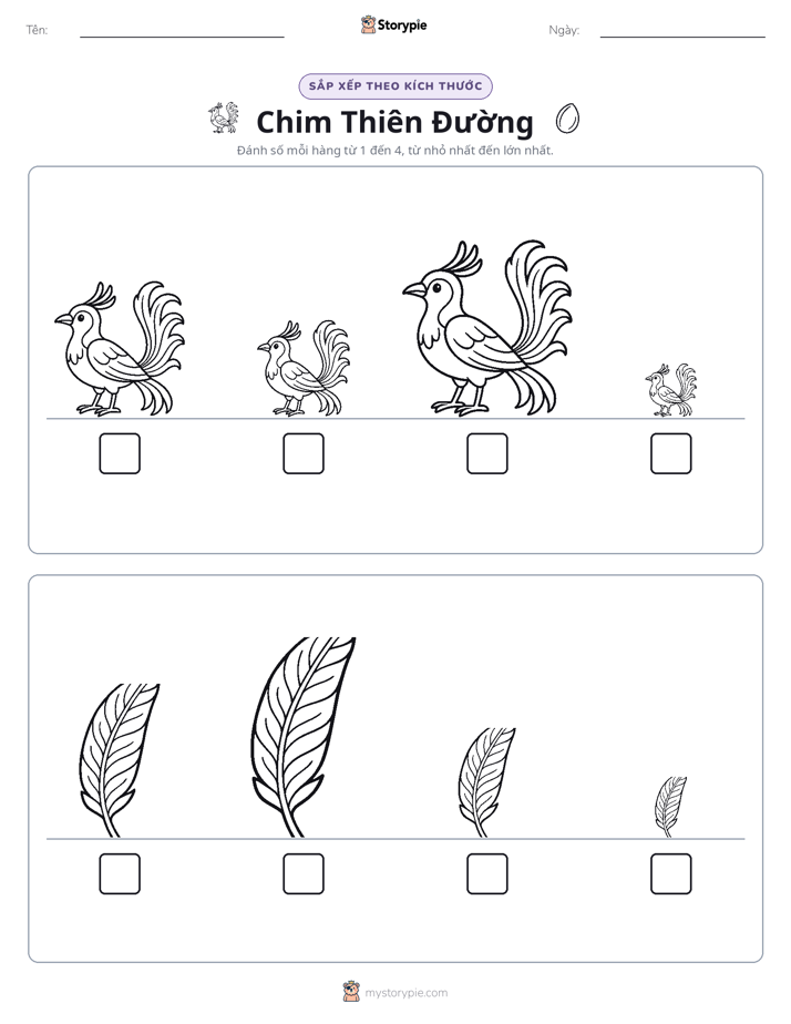 Thứ Tự Kích Thước
