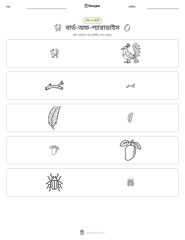 সাজানো