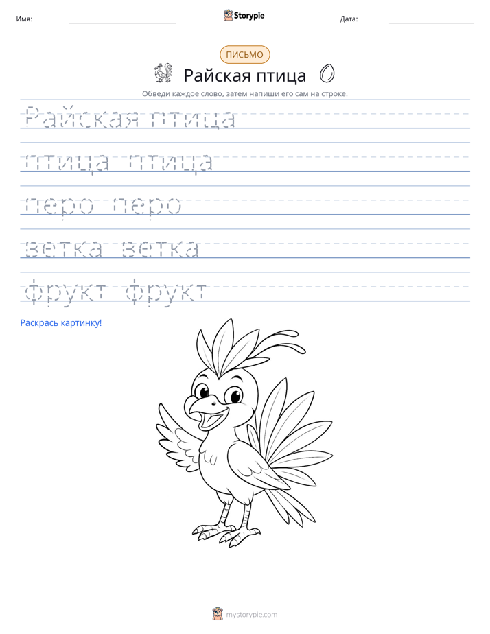 Практика письма