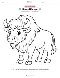 Aperçu de la feuille de travail imprimable Bison d'Europe