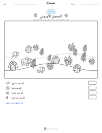 معاينة ورقة العمل القابلة للطباعة البيسون الأوروبي