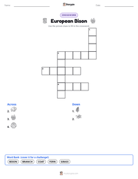 European Bison printable worksheet preview