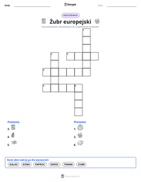 Podgląd drukowalnego arkusza ćwiczeń Żubr europejski