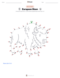 European Bison printable worksheet preview