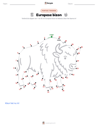 Europese bizon afdrukbare werkblad voorbeeld
