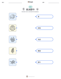 欧洲野牛 可打印工作表预览