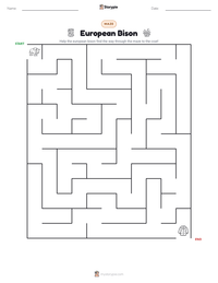 European Bison printable worksheet preview