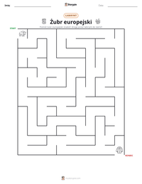 Podgląd drukowalnego arkusza ćwiczeń Żubr europejski
