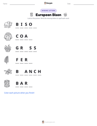 European Bison printable worksheet preview