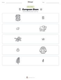 European Bison printable worksheet preview