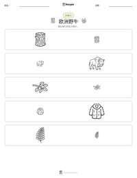 欧洲野牛 可打印工作表预览