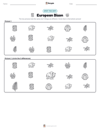 European Bison printable worksheet preview