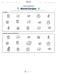 Anteprima della scheda stampabile di Bisonte Europeo