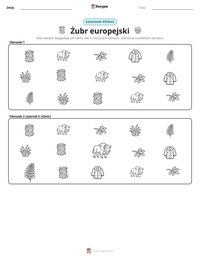 Podgląd drukowalnego arkusza ćwiczeń Żubr europejski
