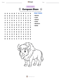 European Bison printable worksheet preview