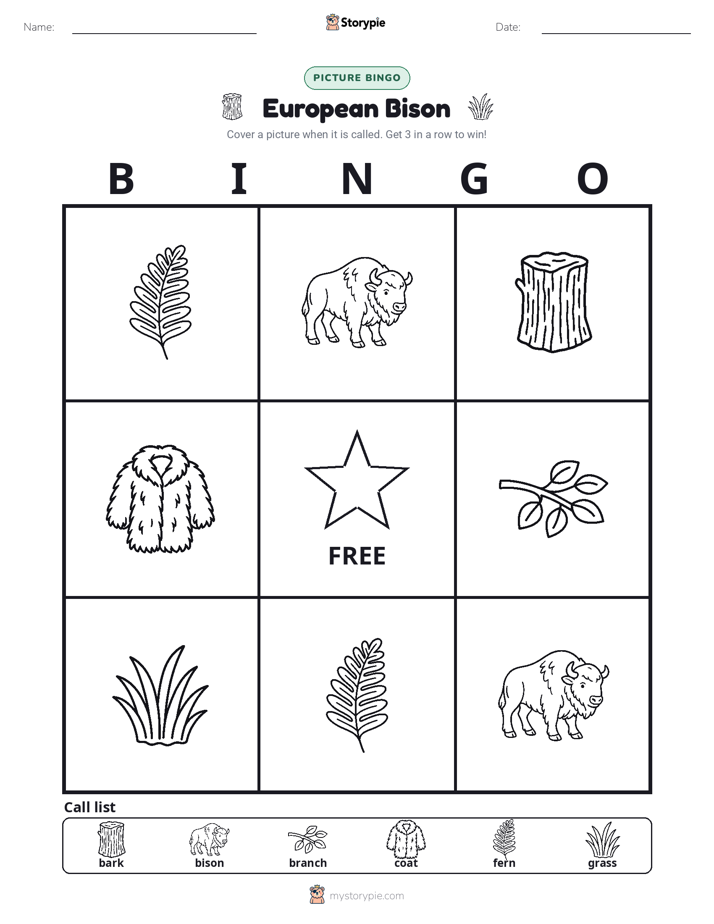 Picture Bingo