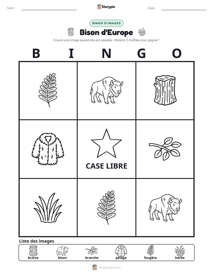 Bingo d'Images