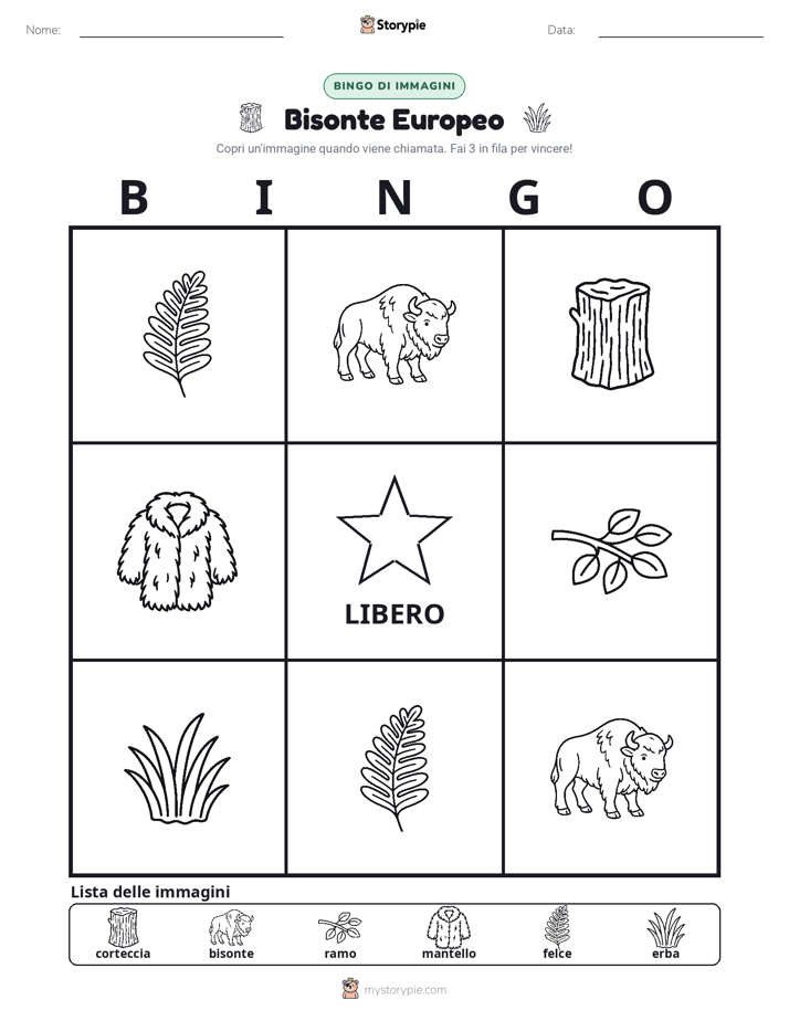 Bingo delle Immagini