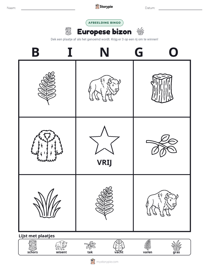 Afbeelding Bingo