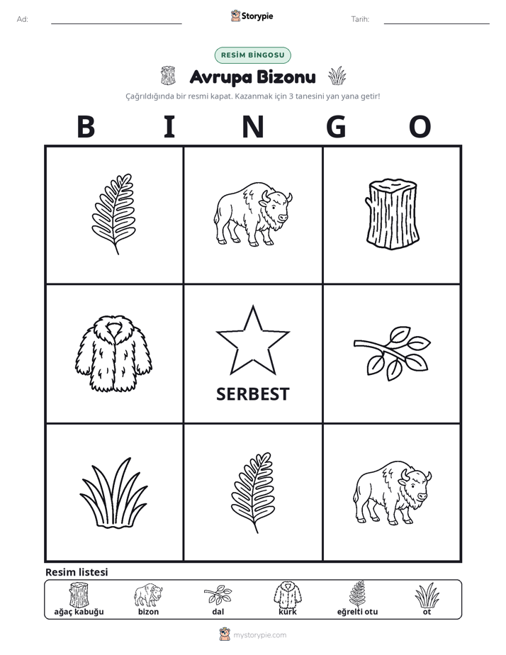 Resim Bingo