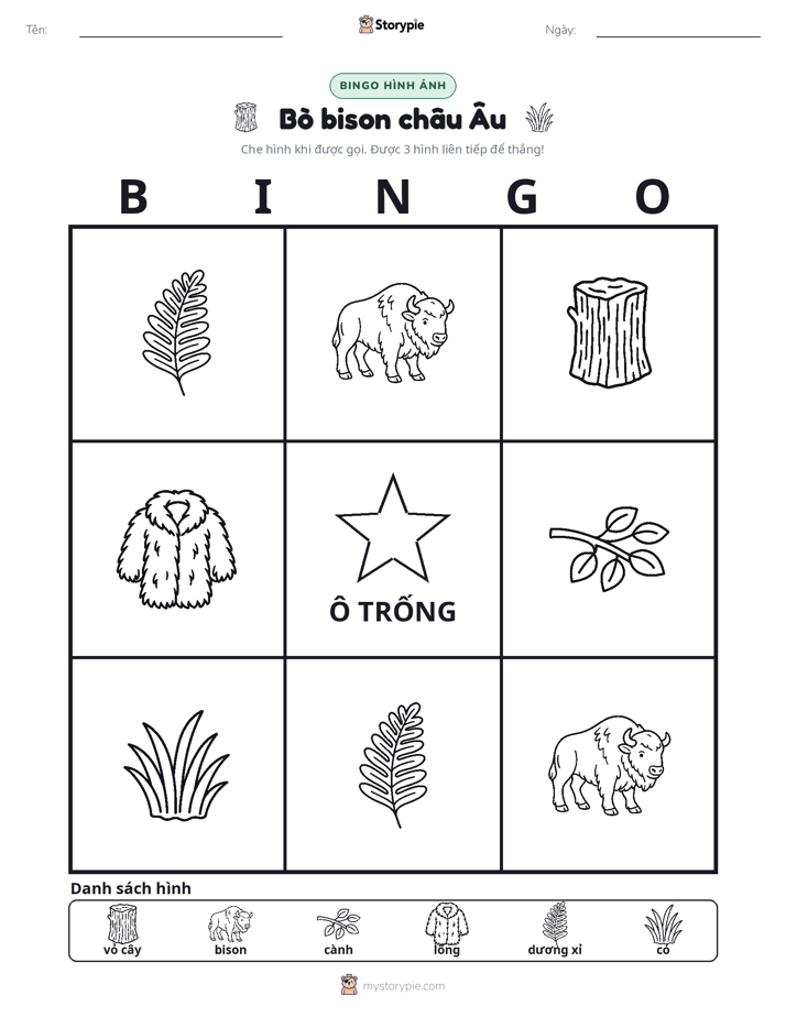 Bingo Hình Ảnh
