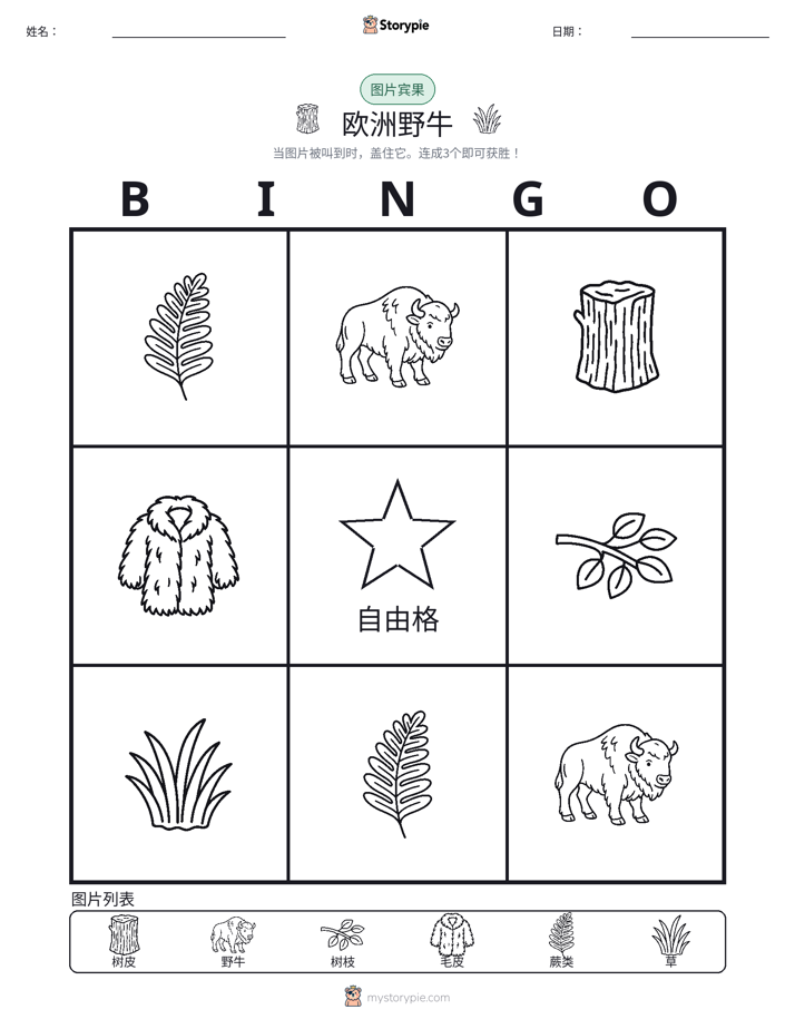 图片宾果