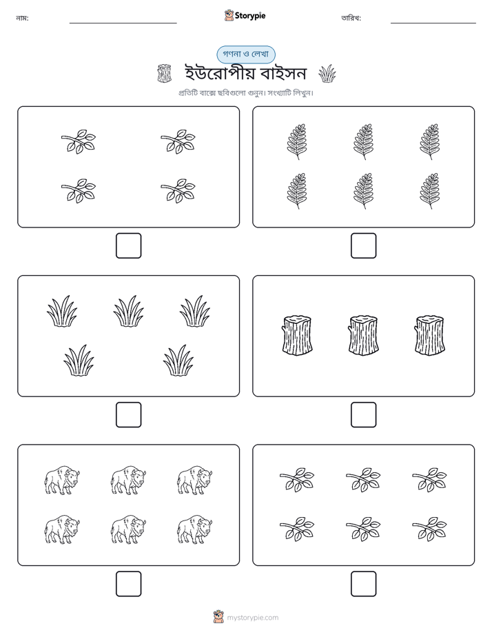 গণনা & লিখুন