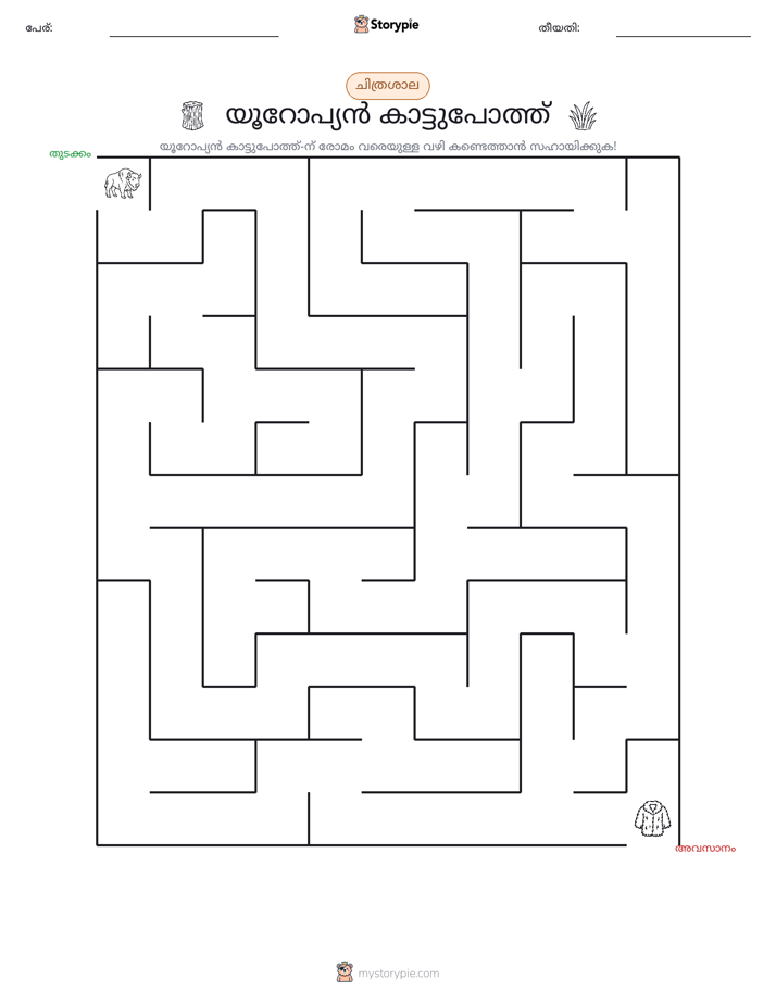 മെയ്സ്