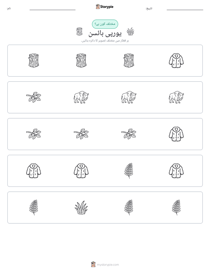 عجیب ایک