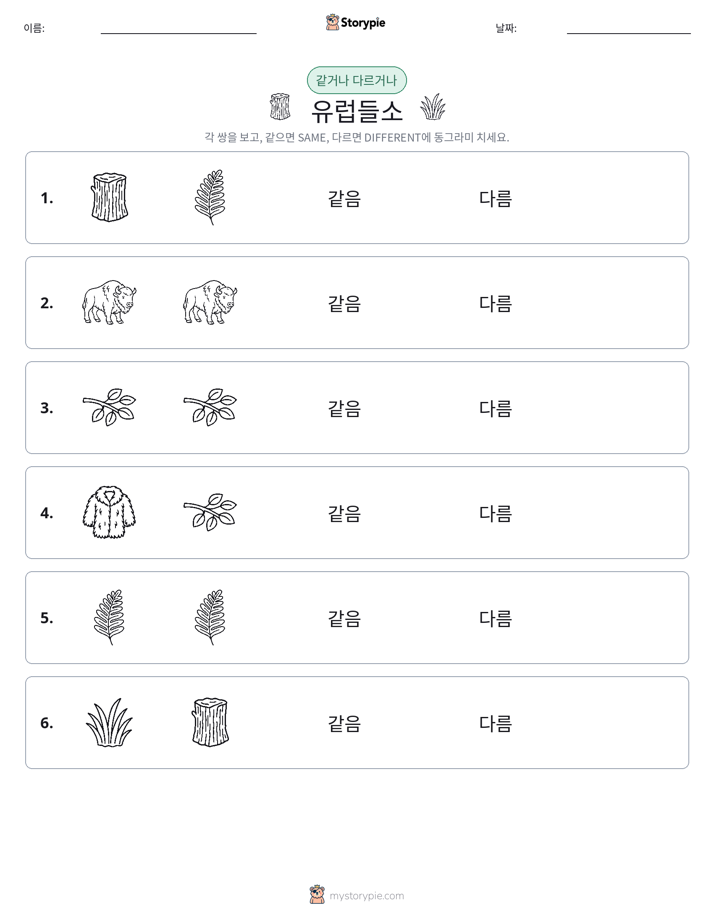 같은 것 또는 다른 것