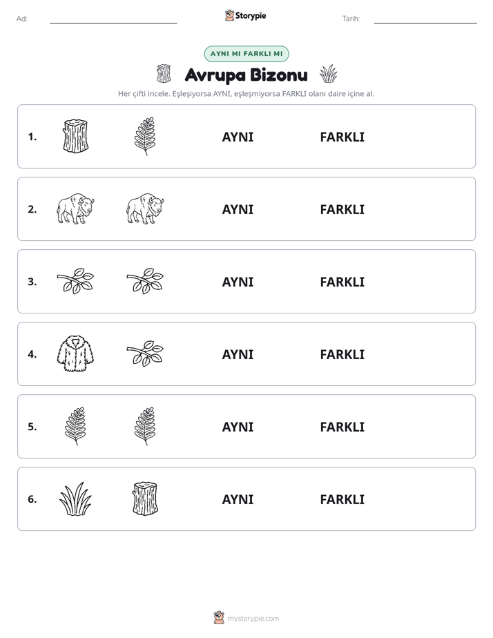 Aynı mı Farklı mı
