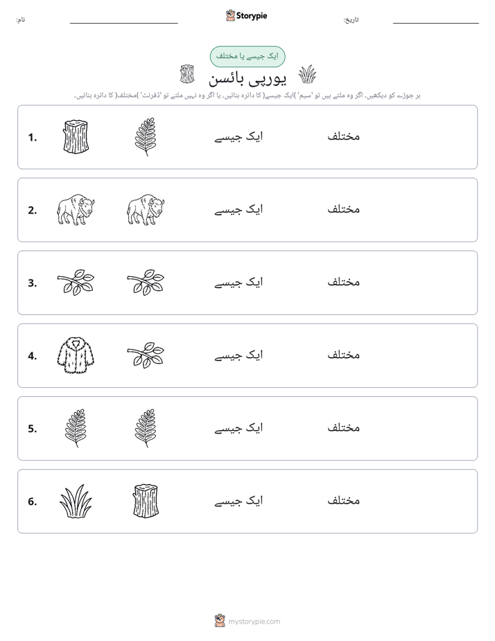 ایک جیسا یا مختلف