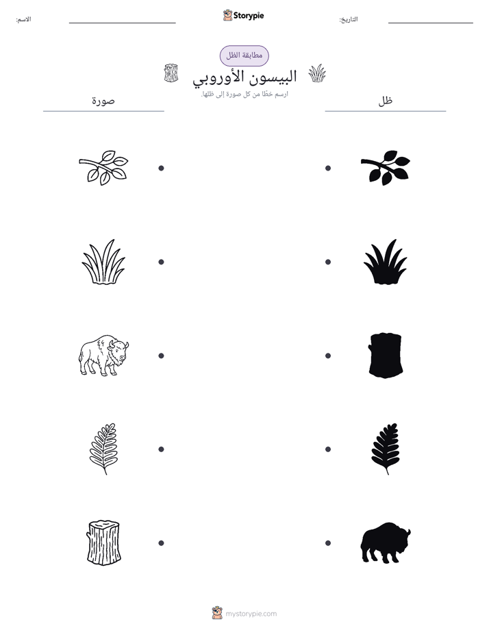 مطابقة الظل