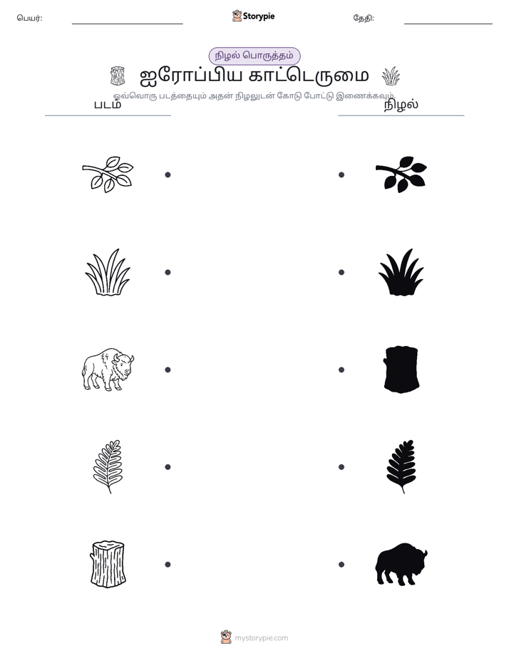 நிழல் பொருத்தம்