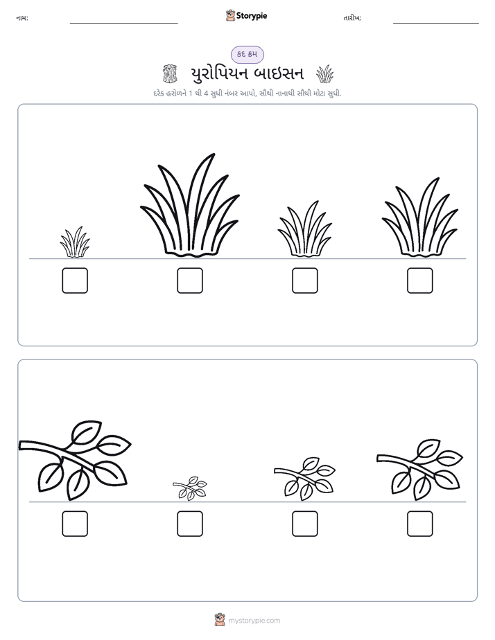 આકાર ક્રમ