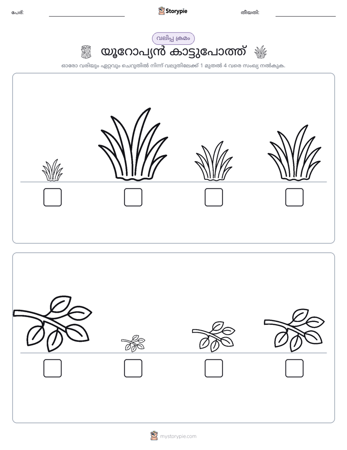 വലുപ്പം ക്രമം