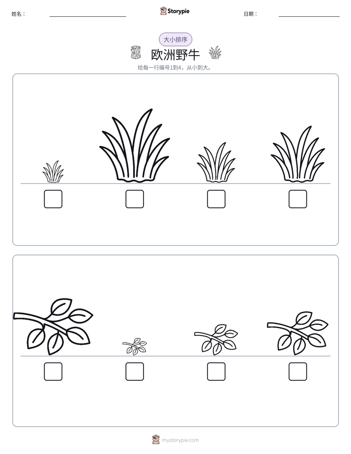 大小排序