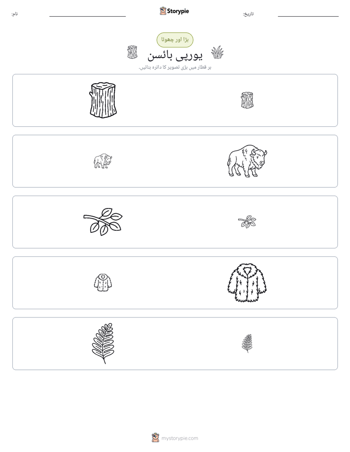 ترتیب دینا