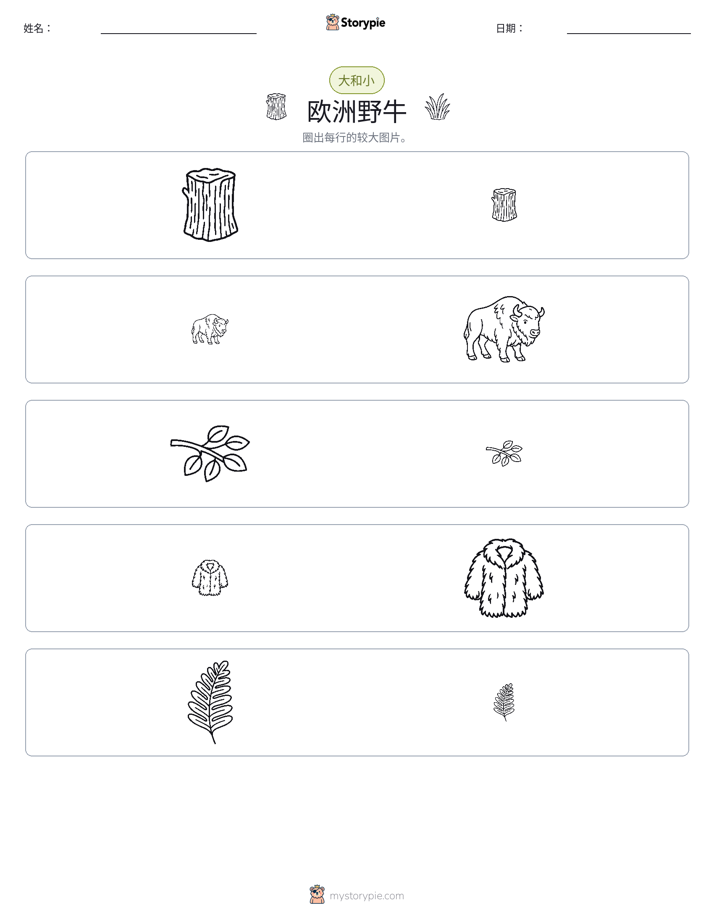 分类