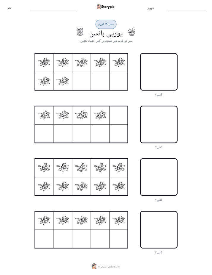 دس کا فریم