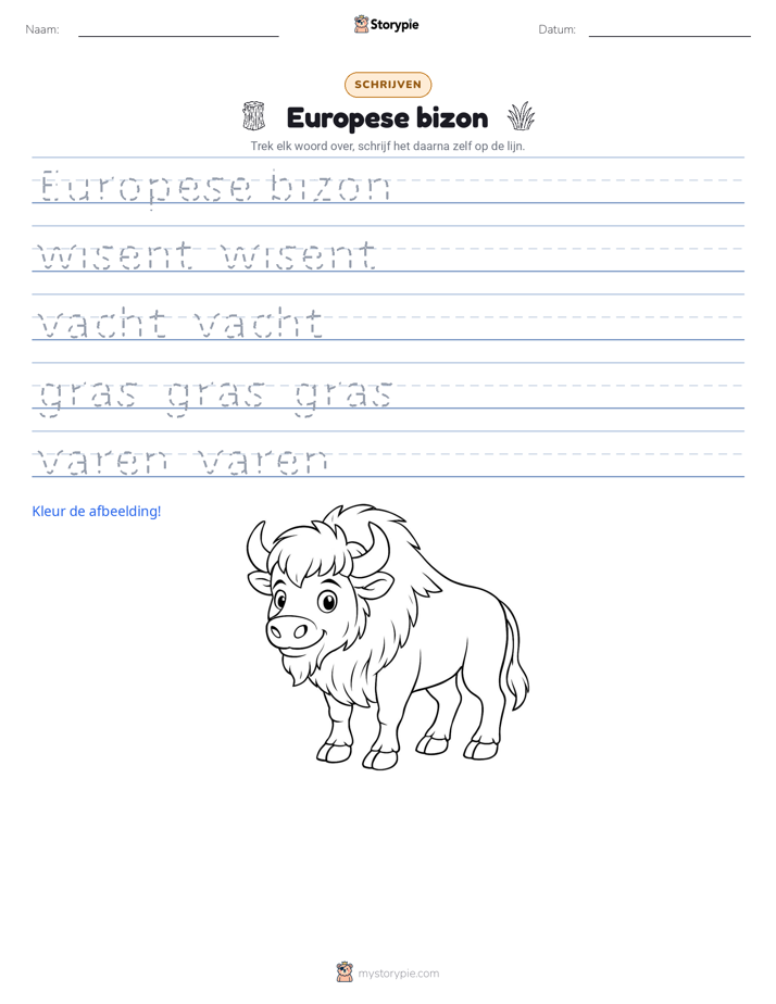Schrijf Oefening