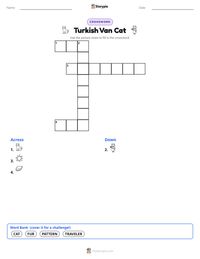 Turkish Van Cat printable worksheet preview