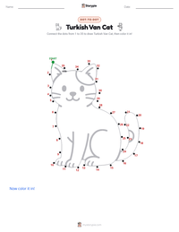 Turkish Van Cat printable worksheet preview