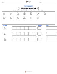 Turkish Van Cat printable worksheet preview