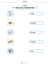 Xem trước tài liệu in sẵn Mèo Van Thổ Nhĩ Kỳ