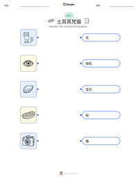 土耳其梵猫 可打印工作表预览