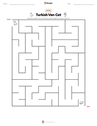 Turkish Van Cat printable worksheet preview