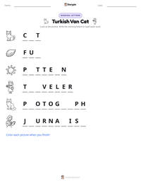 Turkish Van Cat printable worksheet preview