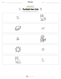 Turkish Van Cat printable worksheet preview