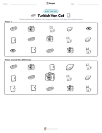 Turkish Van Cat printable worksheet preview